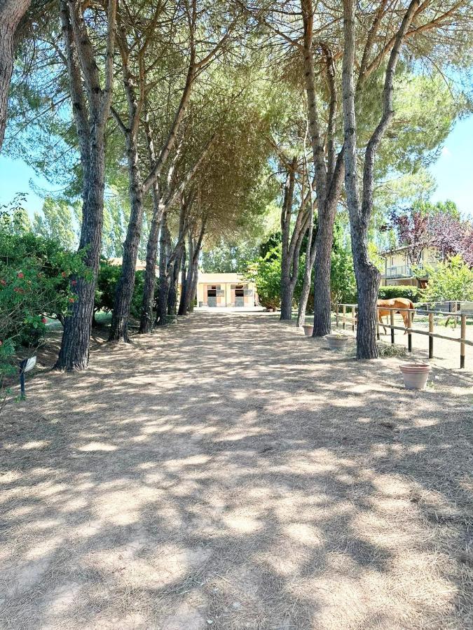 Turfrose Di San Rossore A Pisa By Zoom In Earth Exterior photo
